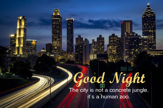 Good Night